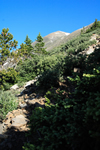 Colorado mountain peak