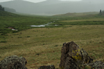 misty moor