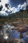 Adirondack swamp monument