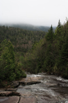 Adirondacks mountain path