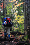 hiking in the fall foliage