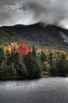 high dynamic range fall photo