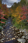 autumn creek image