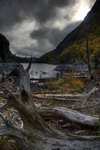 high dynamic range marsh image