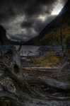 dark marsh image