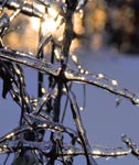 HDR ice storm